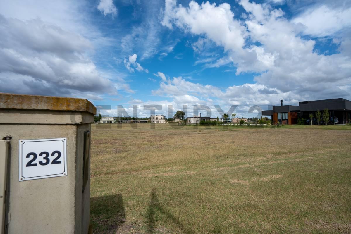 Foto de LOTE EN VENTA EN ÁREA 60, imagen 5