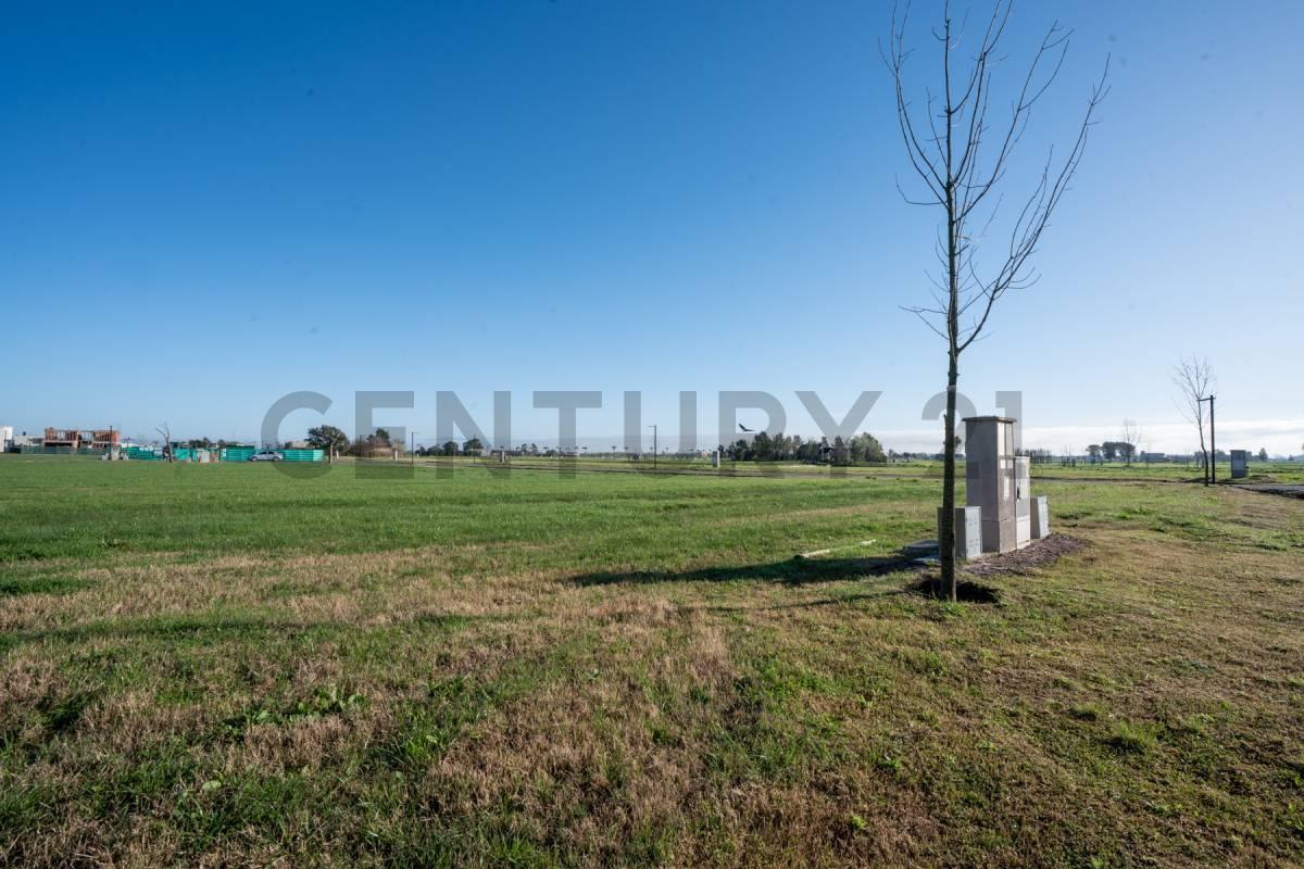 Foto de Lote en Puerto Nizuc 100% financiado, imagen 1