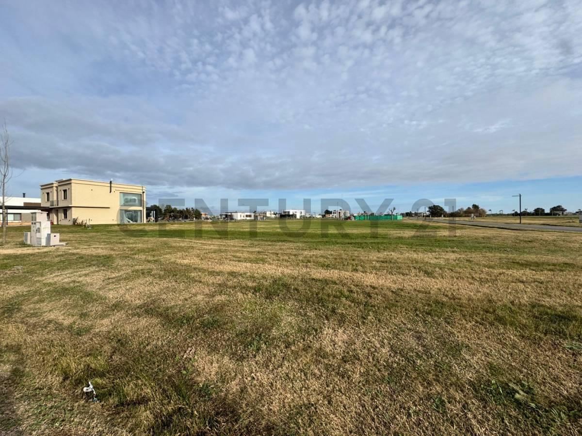 Foto de Lote en Puerto Nizuc 100% financiado, imagen 5