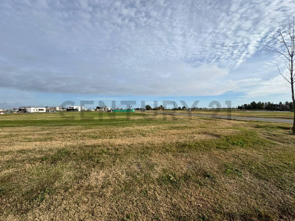 Foto de Lote en Puerto Nizuc 100% financiado, imagen 4