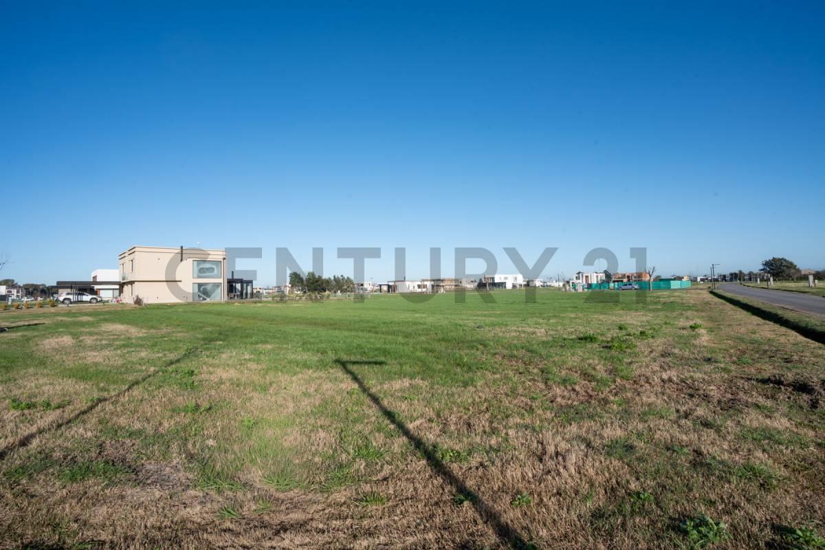 Foto de Lote en Puerto Nizuc 100% financiado, imagen 2