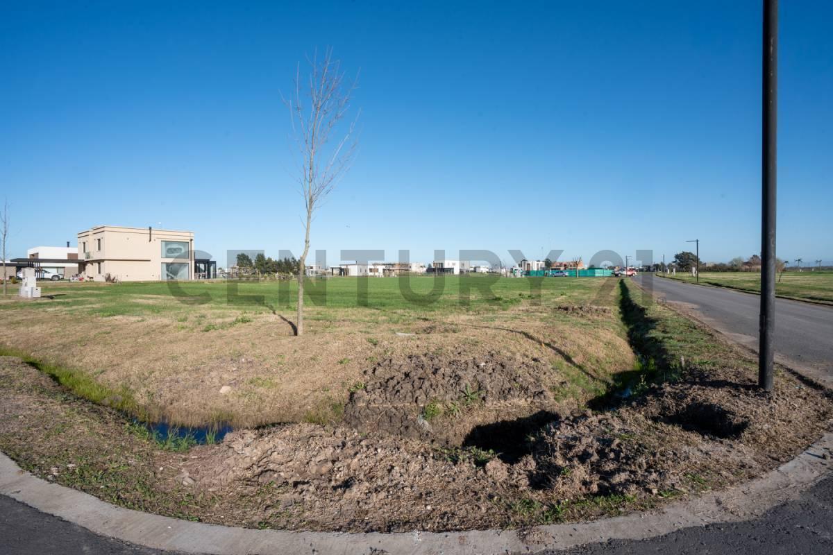 Foto de Lote en Puerto Nizuc 100% financiado, imagen 3