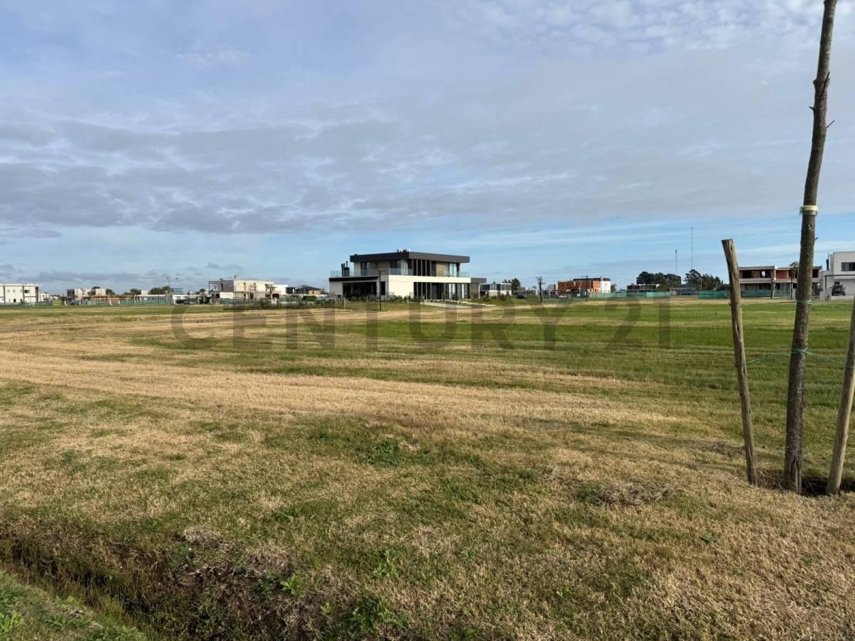 Foto de Lote en Puerto Nizuc 100% financiado, imagen 4
