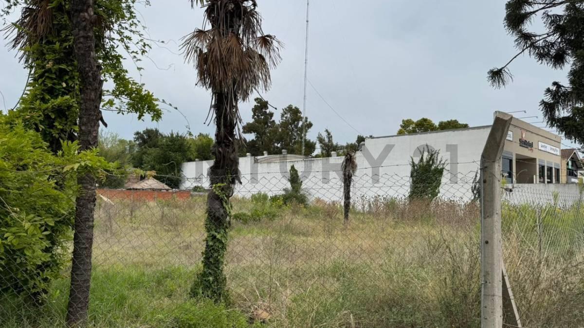 Foto de Lote en venta Gonnet ideal comercial, imagen 3