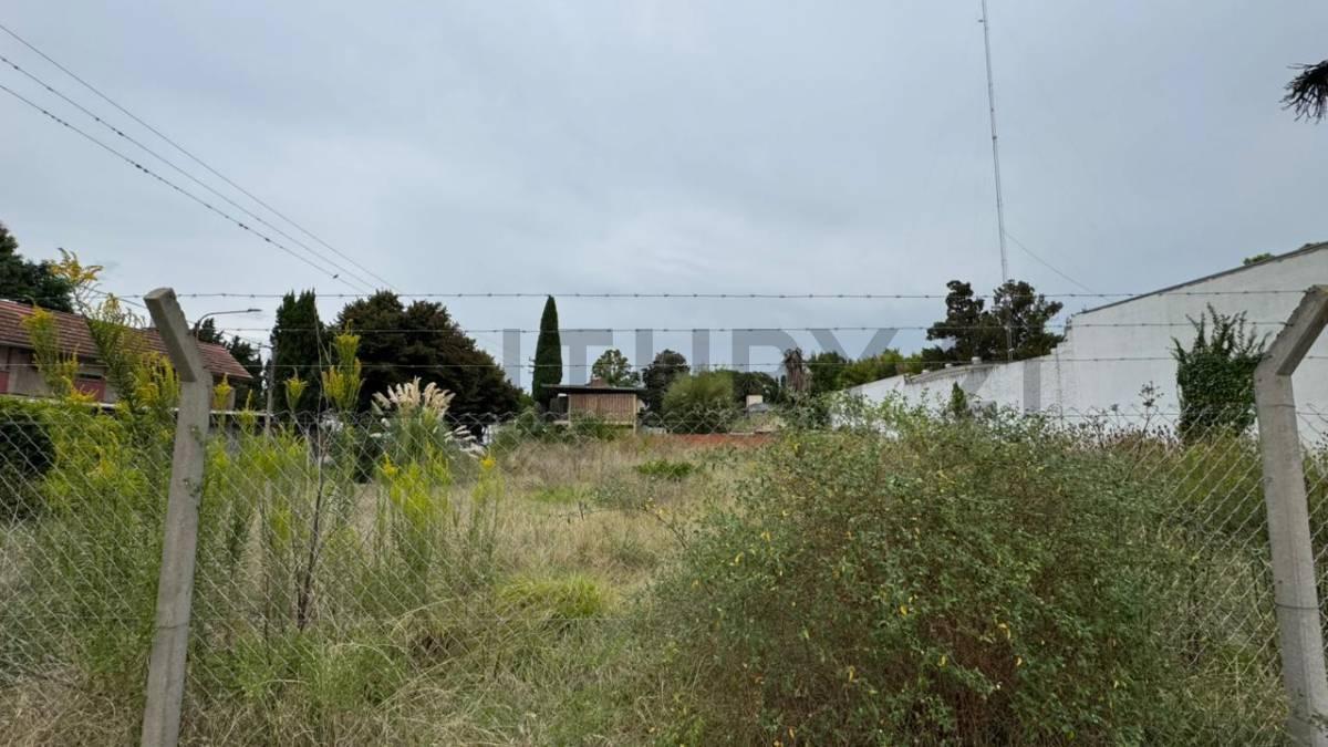 Foto de Lote en venta Gonnet ideal comercial, imagen 2
