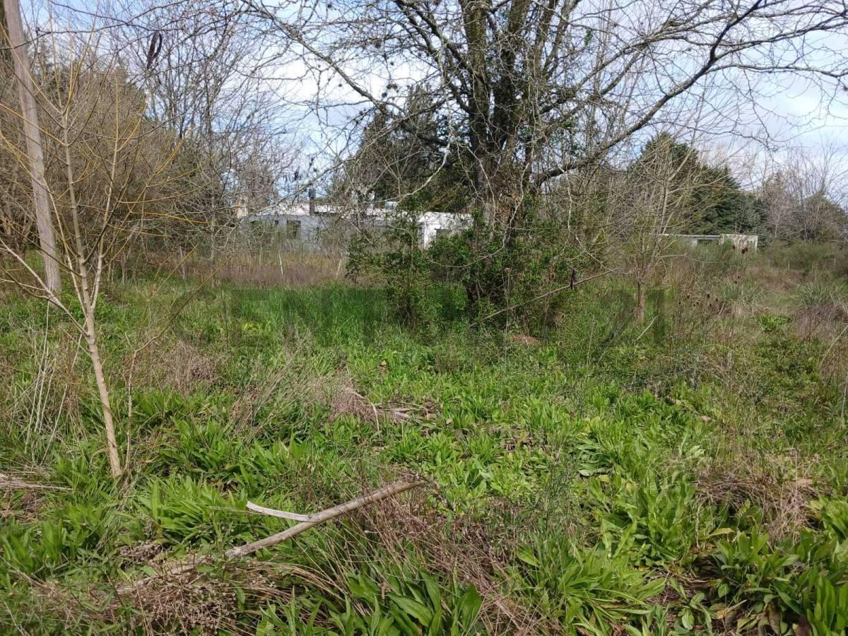 Foto de Terreno de 1200 m2 en venta en El Rodeo | Etcheverry | La Plata, imagen 1