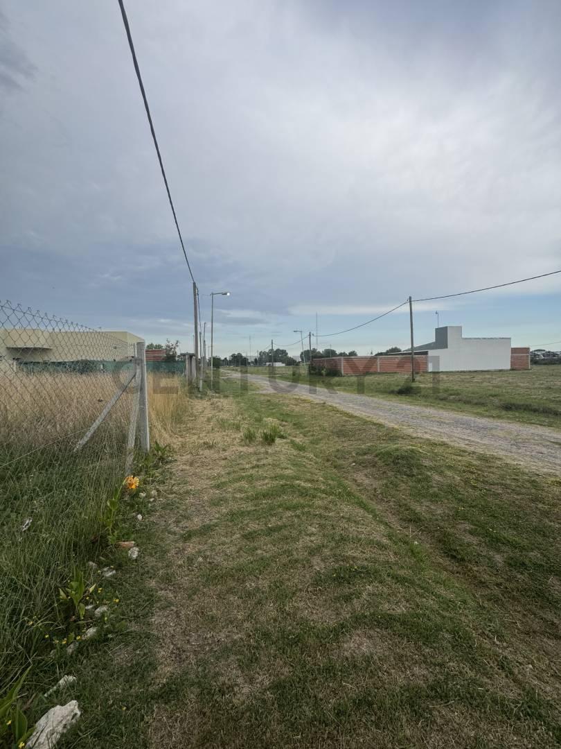 Foto de Lote en venta con escritura-Lisandro Olmos, imagen 3