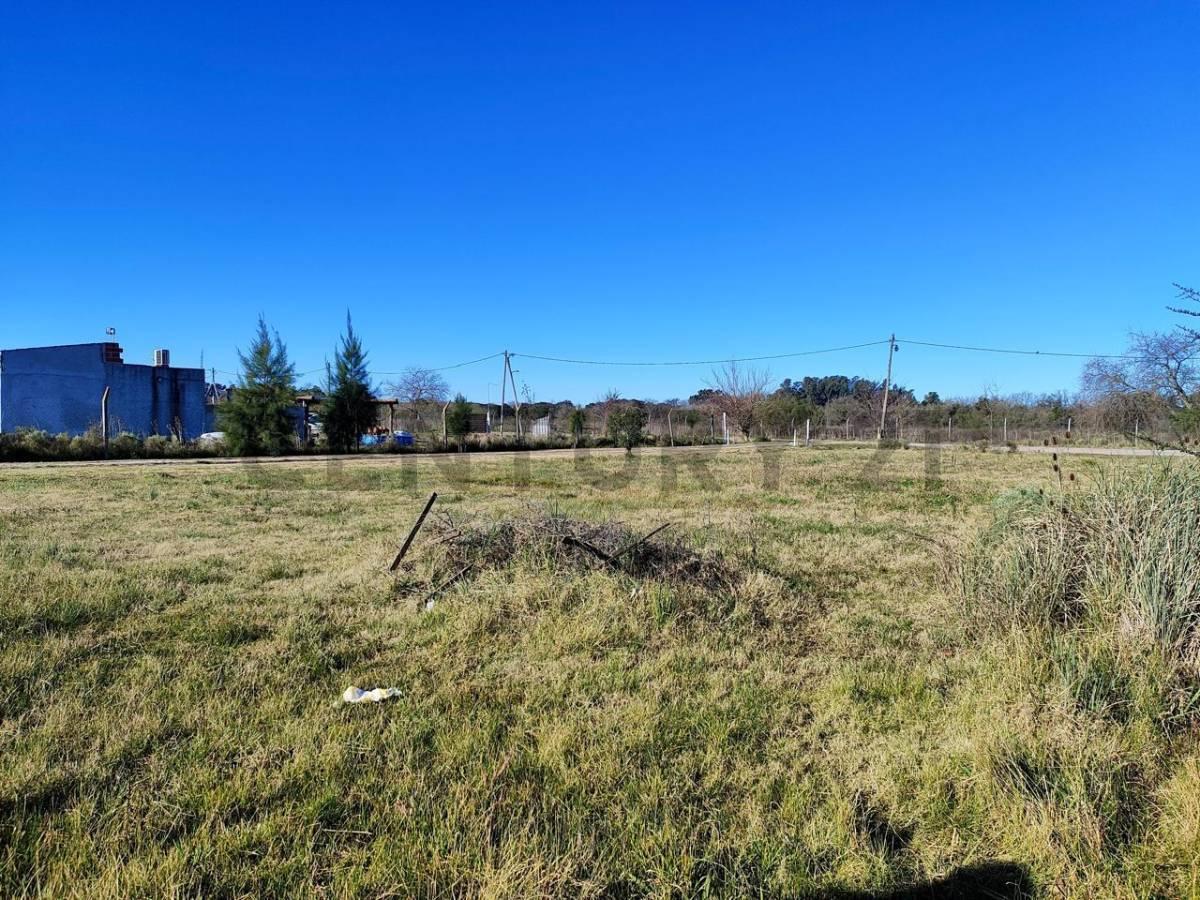 Foto de Lote en venta de 817 m2 en Barrio Rincon de Asis, imagen 3
