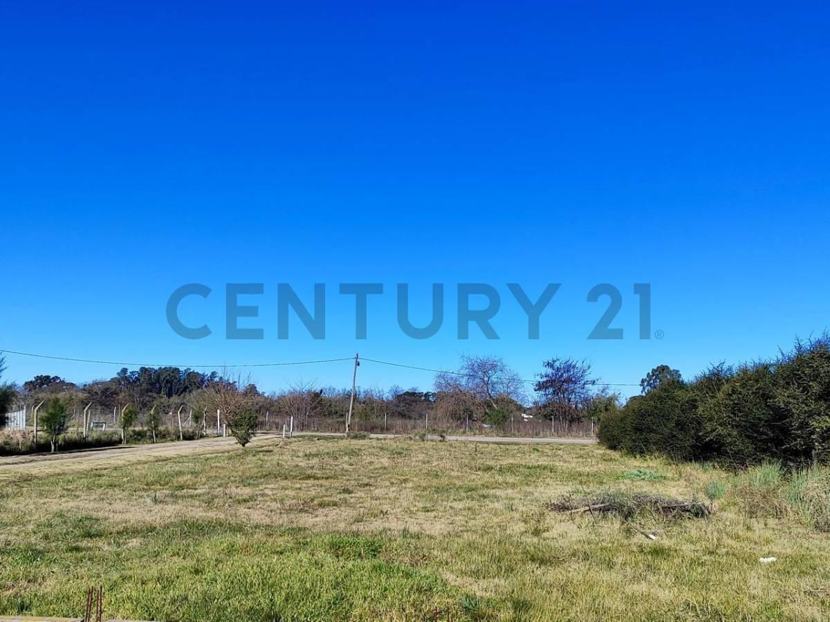 Foto de Lote en venta de 817 m2 en Barrio Rincon de Asis, imagen 5