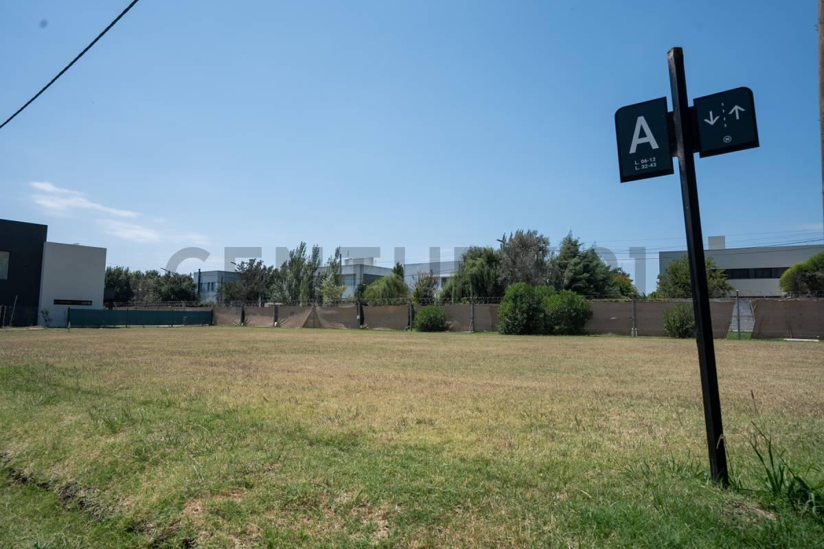 Foto de LOTE EN VENTA DON CARLOS, imagen 4
