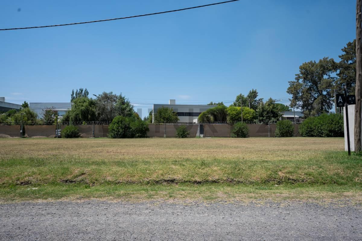 Foto de LOTE EN VENTA DON CARLOS, imagen 3