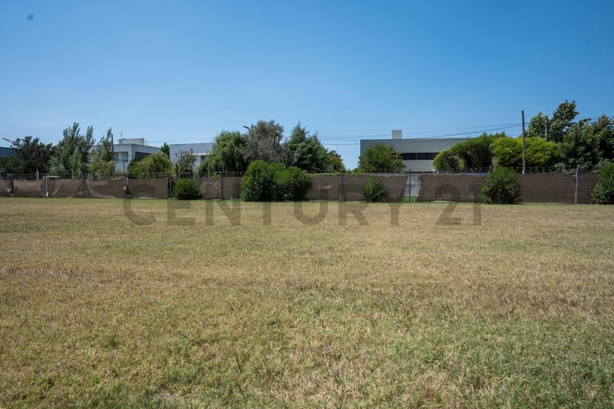 Foto de LOTE EN VENTA DON CARLOS, imagen 2