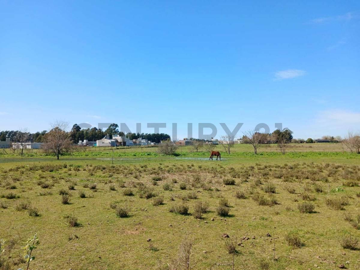 Foto de Lote en venta en barrio cerrado La Aldea del Bosque 2 LISANDRO OLMOS, imagen 3
