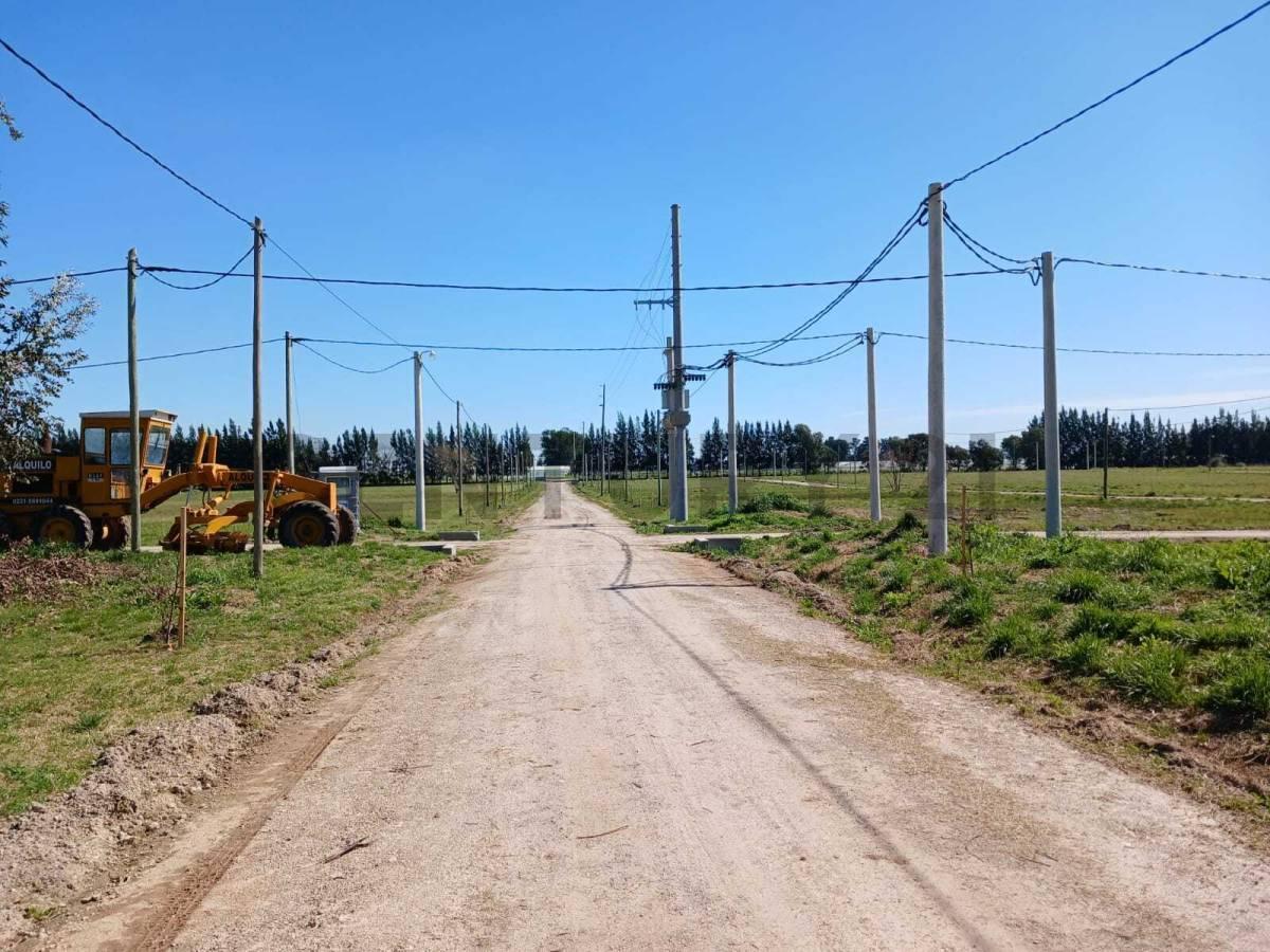 Foto de Lote en venta en barrio cerrado La Aldea del Bosque 2 LISANDRO OLMOS, imagen 4