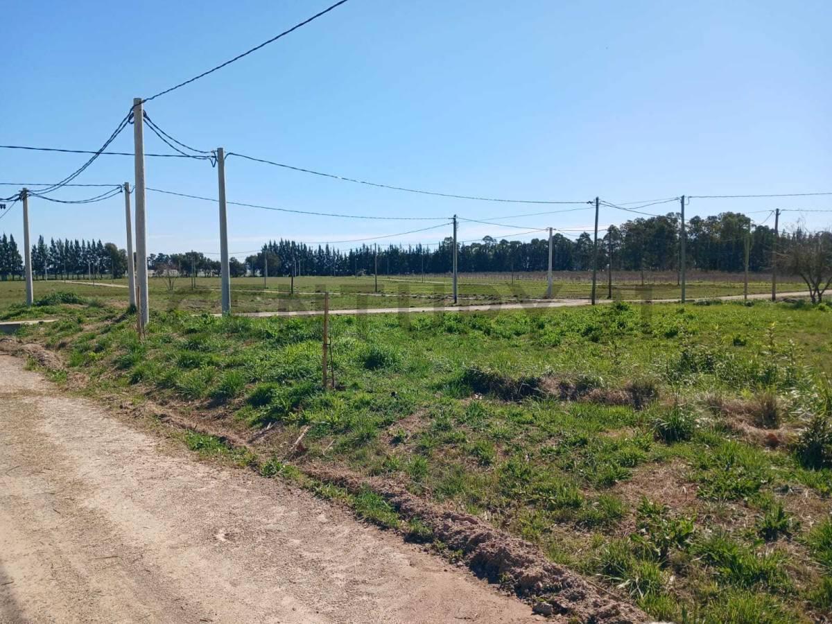 Foto de Lote en venta en barrio cerrado La Aldea del Bosque 2 LISANDRO OLMOS, imagen 5