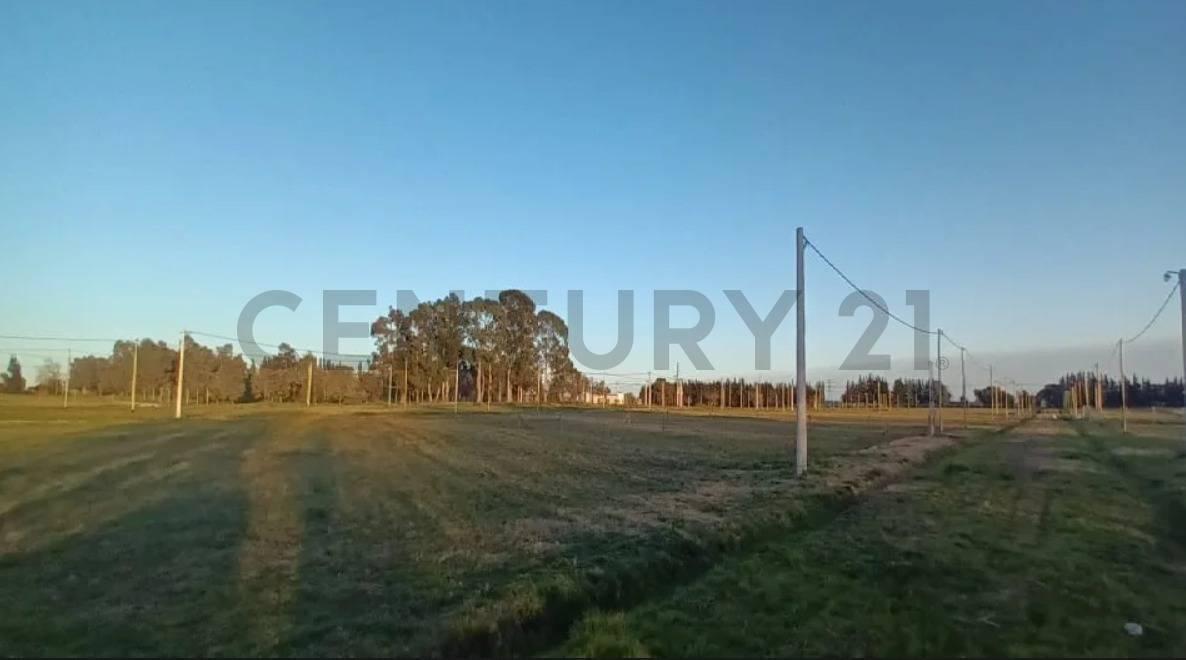 Foto de Lote en venta en barrio cerrado La Aldea del Bosque 2 LISANDRO OLMOS, imagen 1