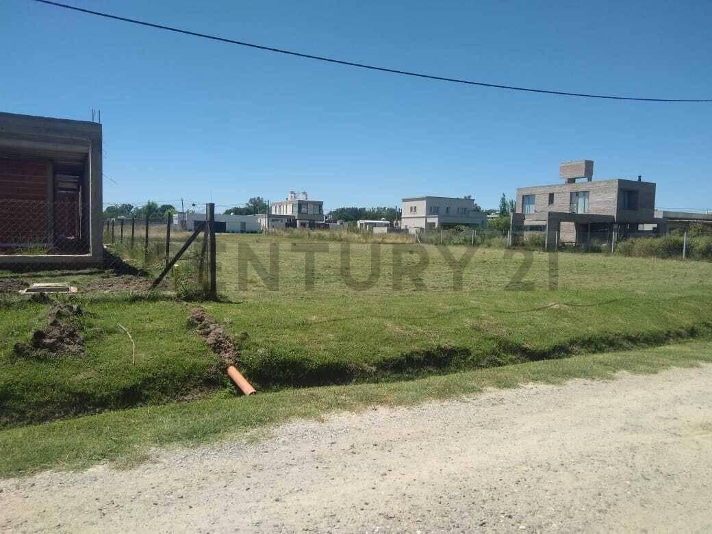 Foto de LOTE EN VENTA LAS BANDERITAS, imagen 5
