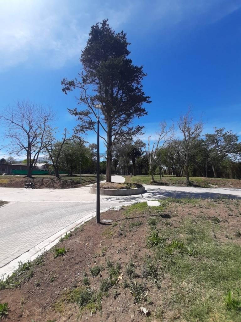 Foto de LOTE FINCAS DON VÍCTOR, imagen 4