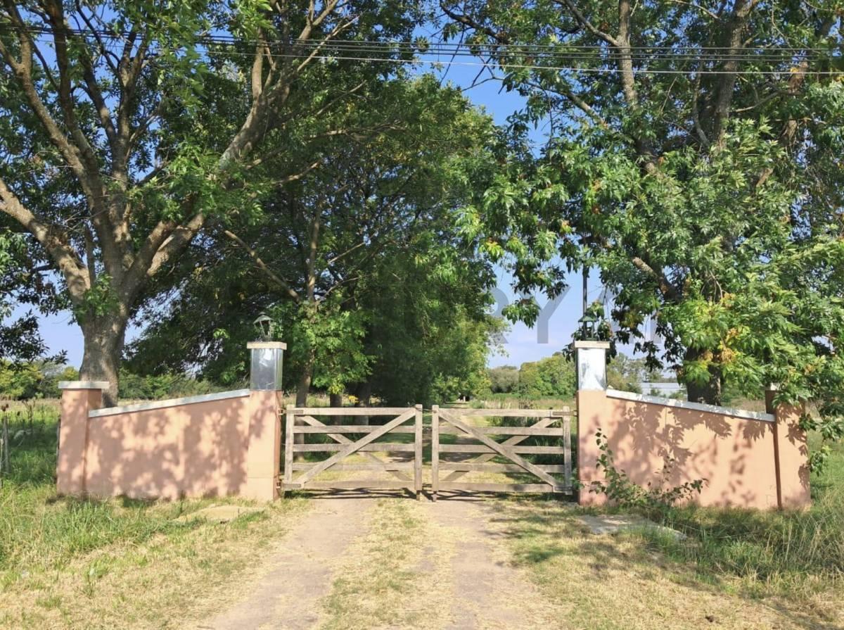 Foto de Campo con casco de estancia en venta – 7,13 hectáreas | Los Hornos, La, imagen 3