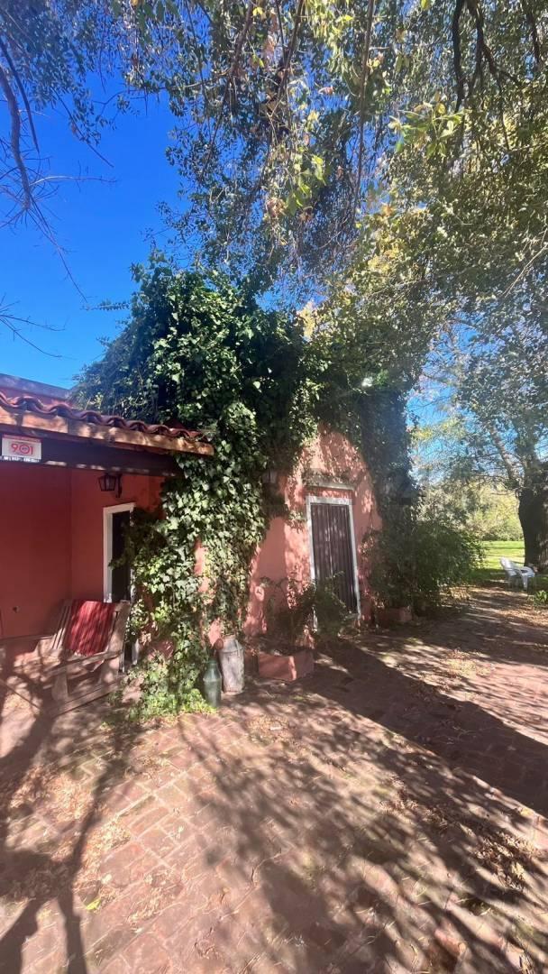 Foto de Campo con casco de estancia en venta – 7,13 hectáreas | Los Hornos, La, imagen 4