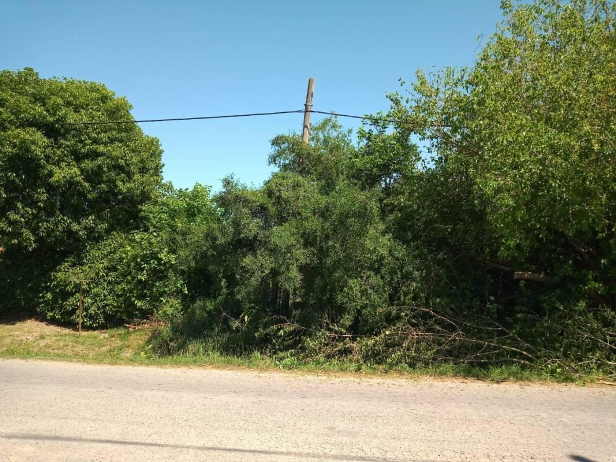 57 E/ 13 Y 14, VILLA ELISA - LOTE DE 11 x 44 M