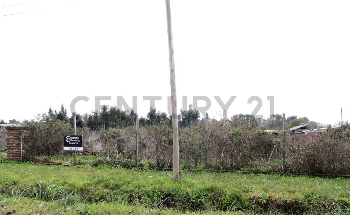 LOTE EN VENTA EN CENTRO AGRÍCOLA EL PATO 3