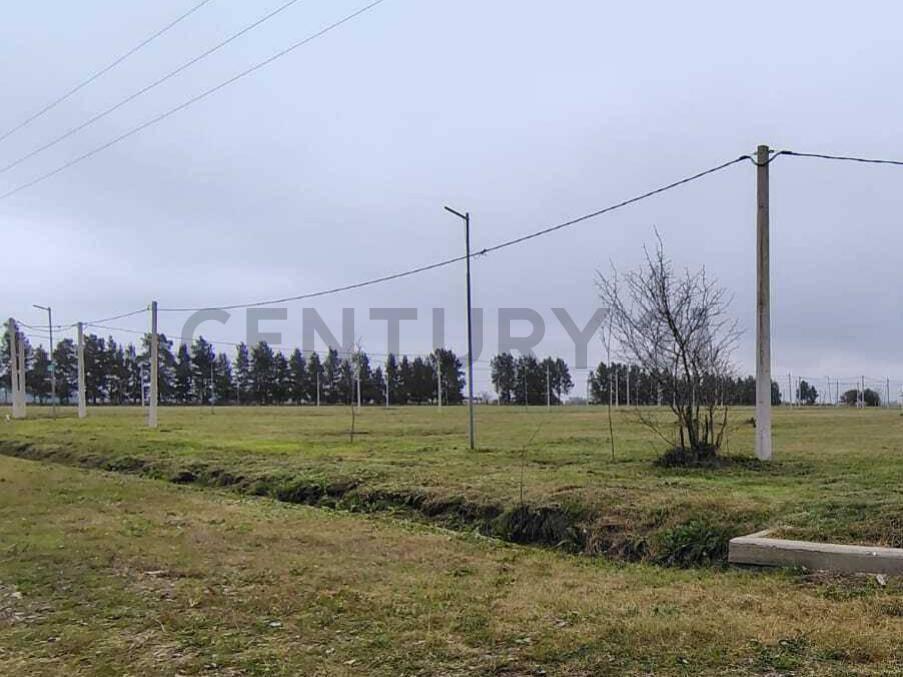 Foto de Terreno de 12 x 28,19 m en Loteo Don Basilio., imagen 1