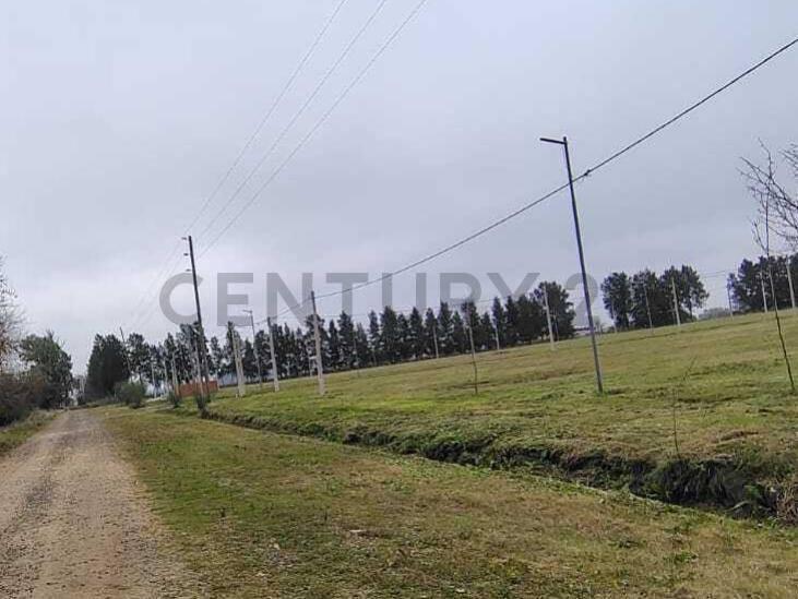 Foto de Terreno de 12 x 28,19 m en Loteo Don Basilio., imagen 2
