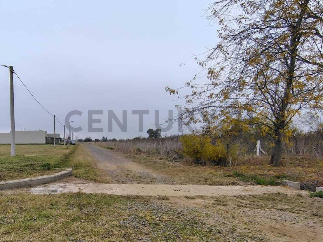 Foto de Terreno 12 x 29 m en Loteo Don Basilio, M. Romero, imagen 1