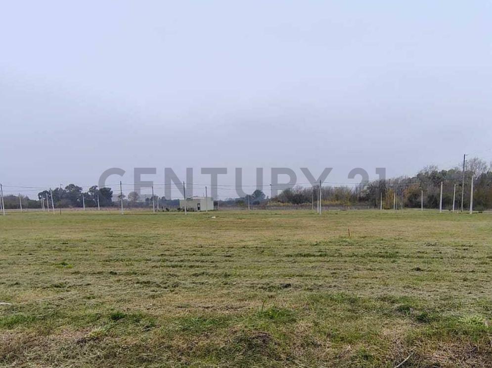 Foto de Terreno 12 x 28,19 m en Loteo Don Basilio., imagen 2