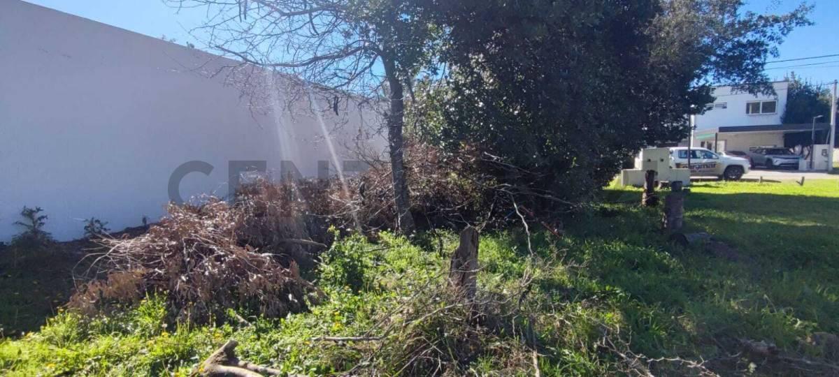 Foto de Lote en Barrio Cerrado sobre Av.44, imagen 2