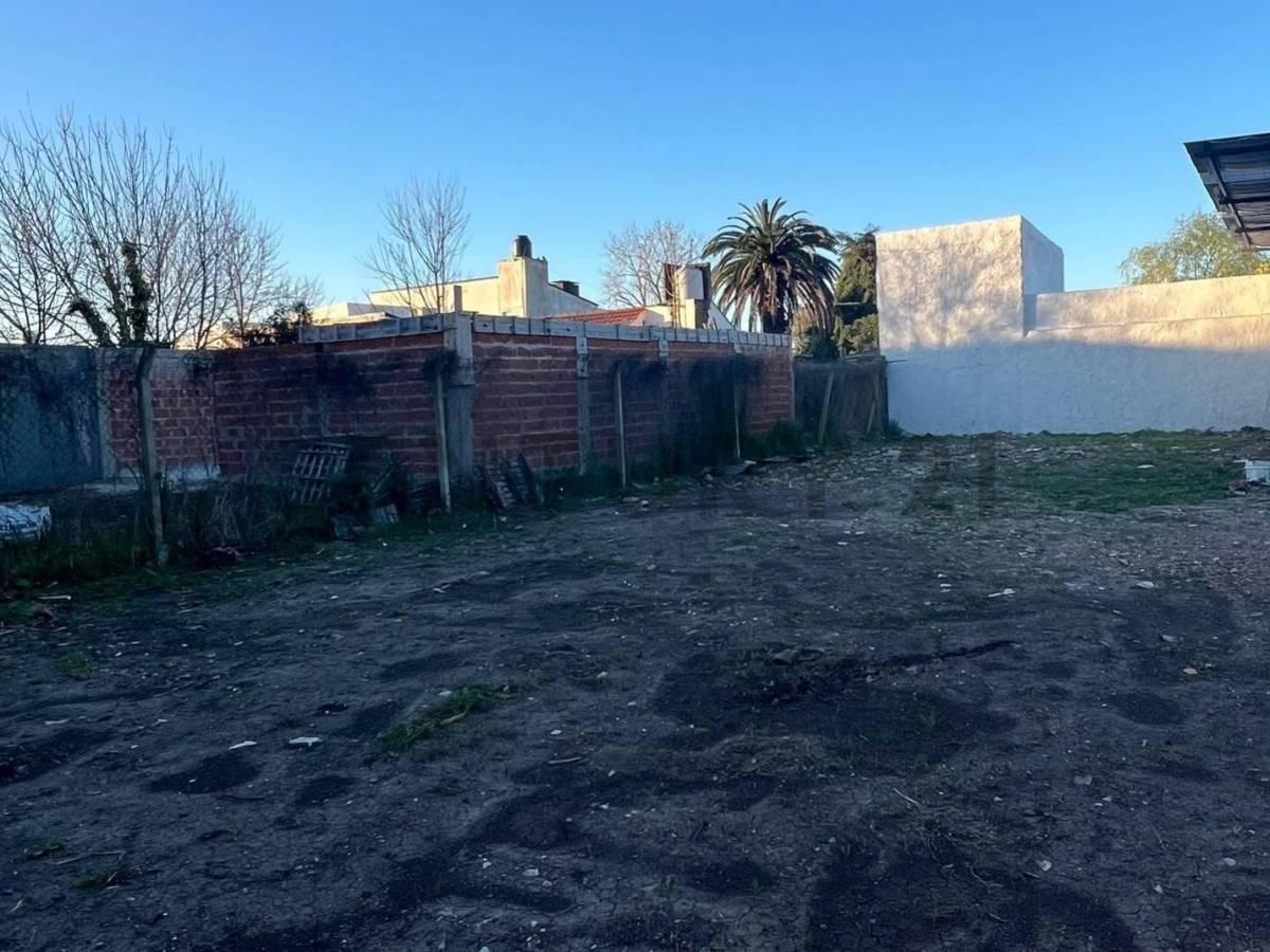 Foto de Lote de 337 m² en Villa Elvira, La Plata, imagen 5