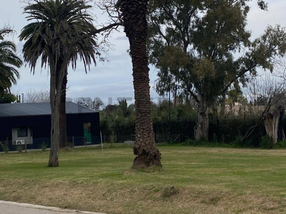 Foto de Lote de 612 m² en Fincas Don Víctor, Villa Elisa, imagen 2