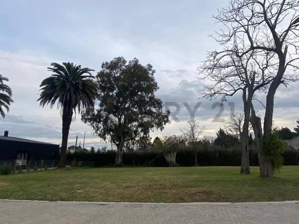 Foto de Lote de 612 m² en Fincas Don Víctor, Villa Elisa, imagen 3