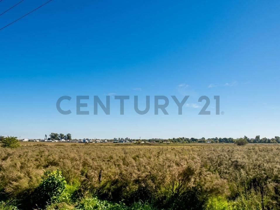 Foto de Fracción de 9,2 ha. en Altos de San Lorenzo, La Plata, imagen 2