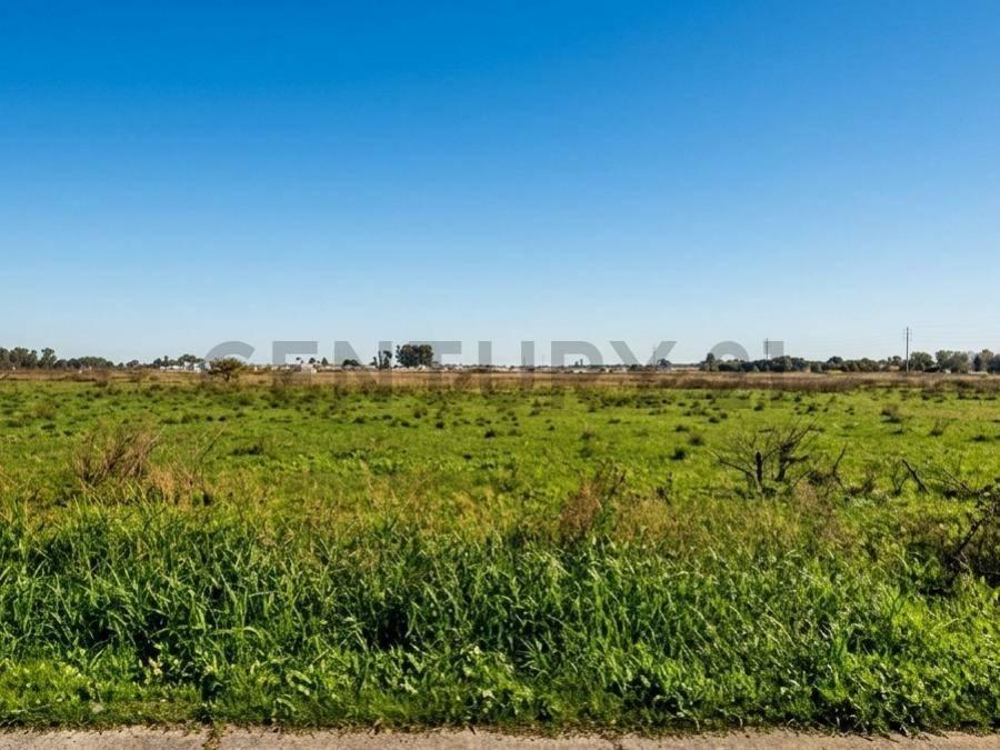 Foto de 8,125 Ha. Ideales para Desarrollo Inmobiliario, imagen 1