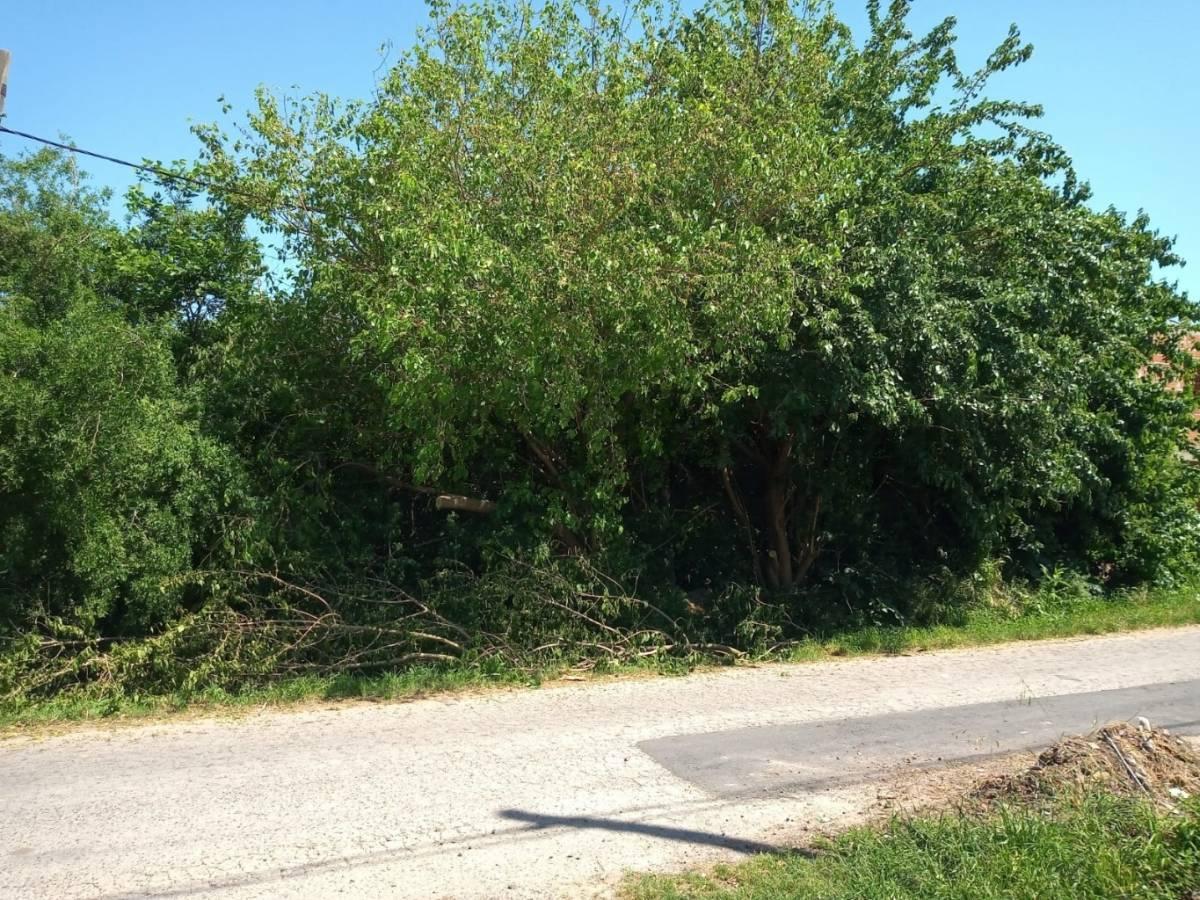 Foto de 57 E/ 13 Y 14, VILLA ELISA - LOTE DE 11 x 44 M., imagen 5
