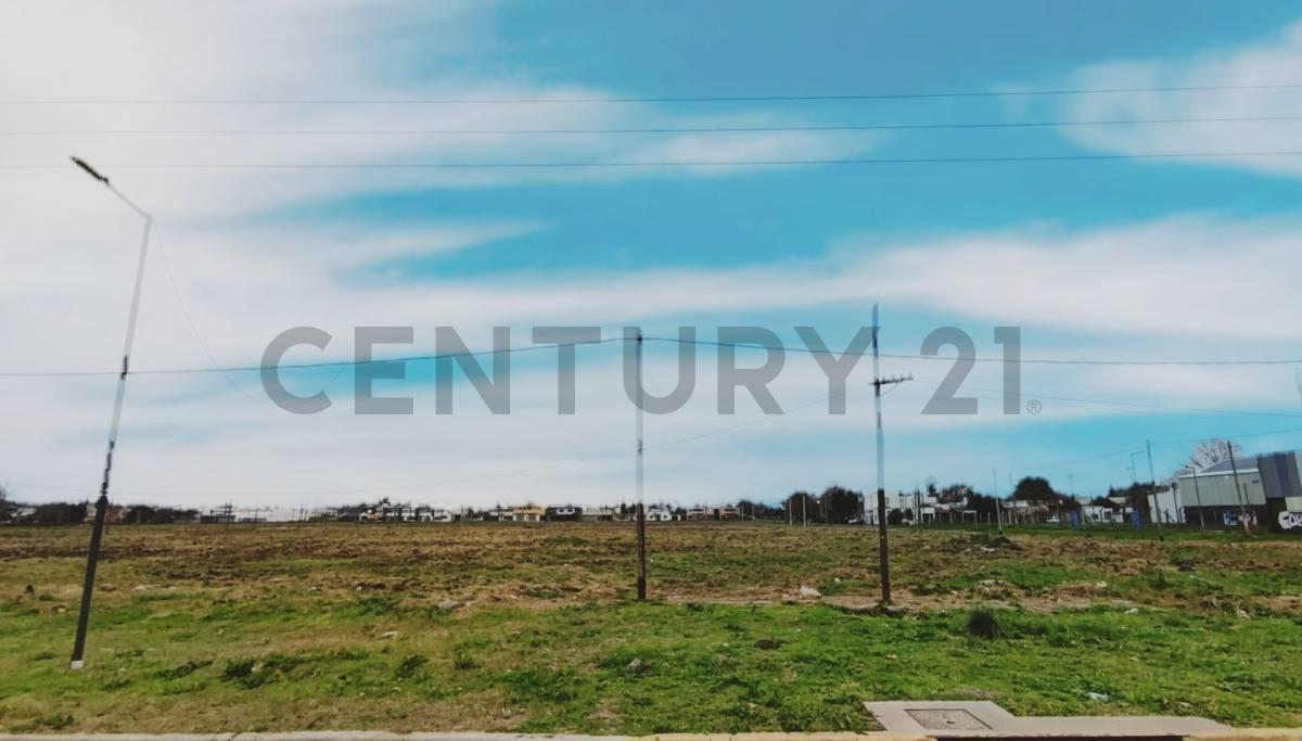 Foto de Venta de Lotes en "LOS TEROS Barrio Abierto", La Plata., imagen 4