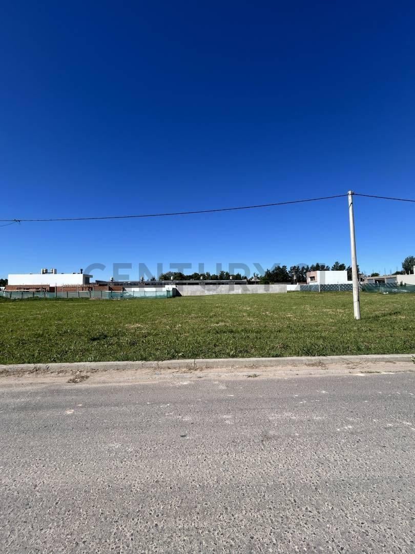 Foto de Venta de lotes en José Hernandez, imagen 4