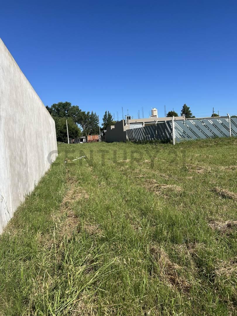 Foto de Venta de lotes en José Hernandez, imagen 3