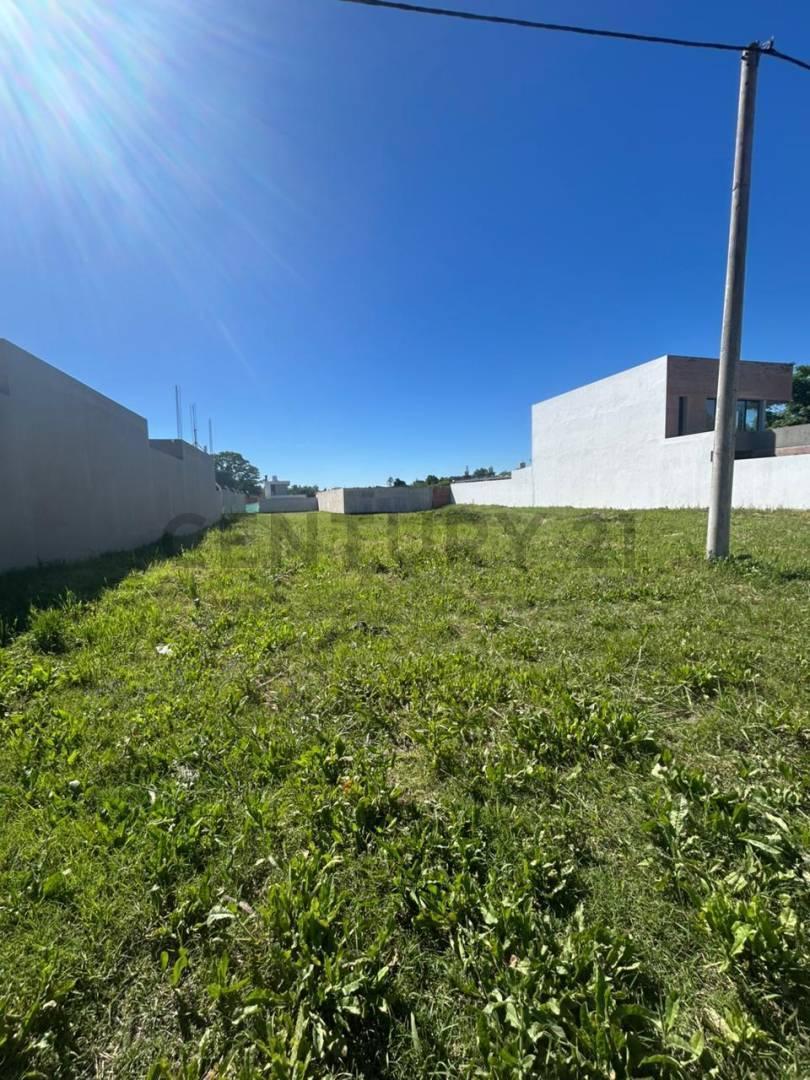 Foto de Venta de lotes en José Hernandez, imagen 1