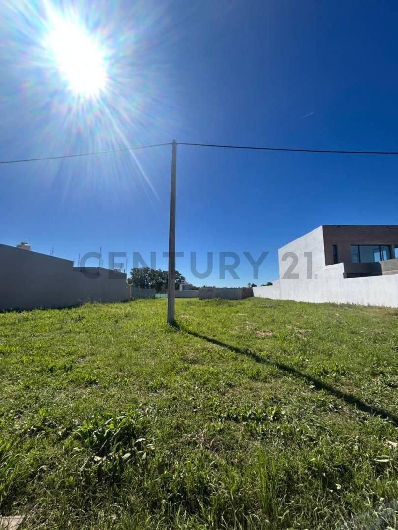 Foto de Venta de lotes en José Hernandez, imagen 2