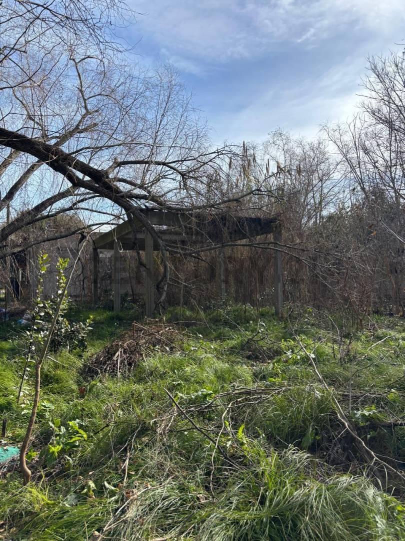 Foto de VENTA DE LOTE, imagen 2