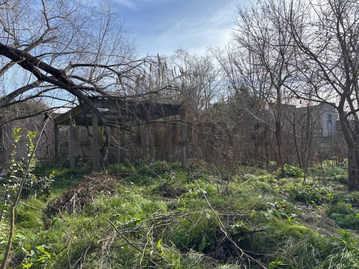 Foto de VENTA DE LOTE, imagen 1