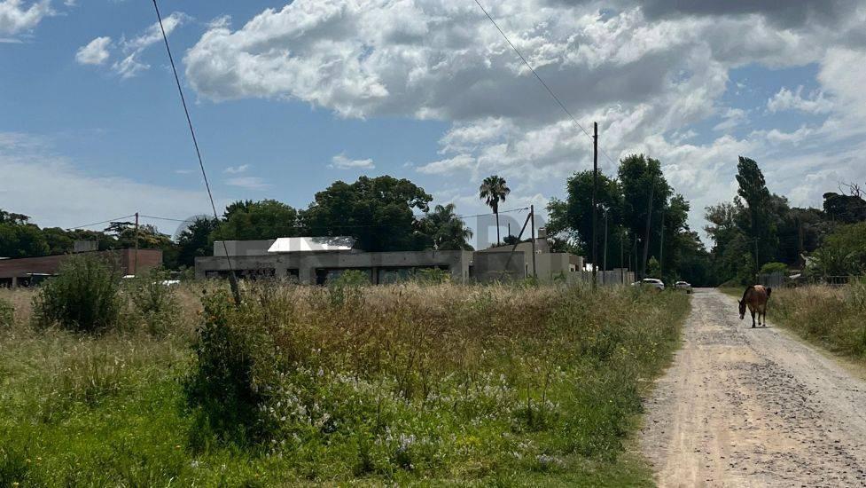 Foto de Lote de 690m² en Venta en Villa Elisa, La Plata, imagen 5