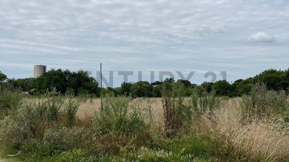Foto de Lote de 690m² en Venta en Villa Elisa, La Plata, imagen 2