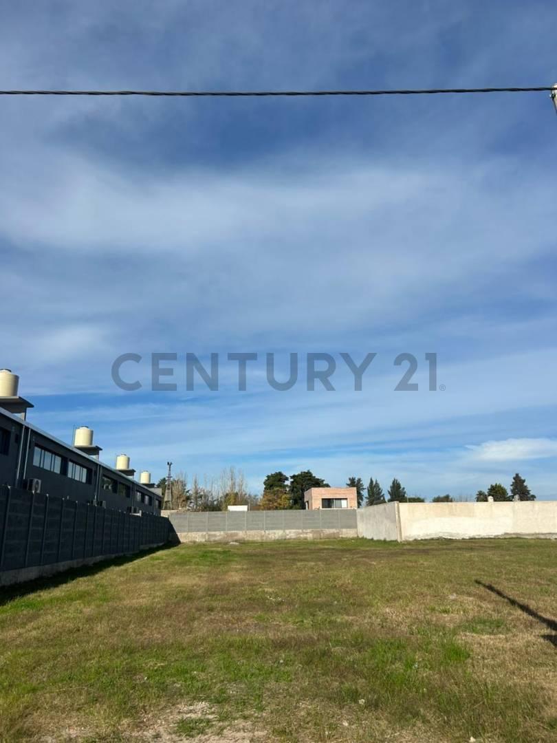 Foto de Venta de lotes en José Hernandez, imagen 2