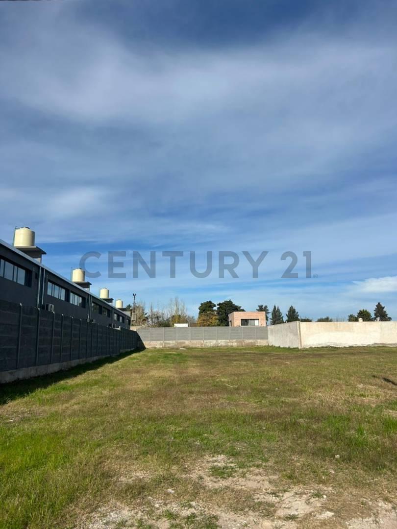 Foto de Venta de lotes en José Hernandez, imagen 1
