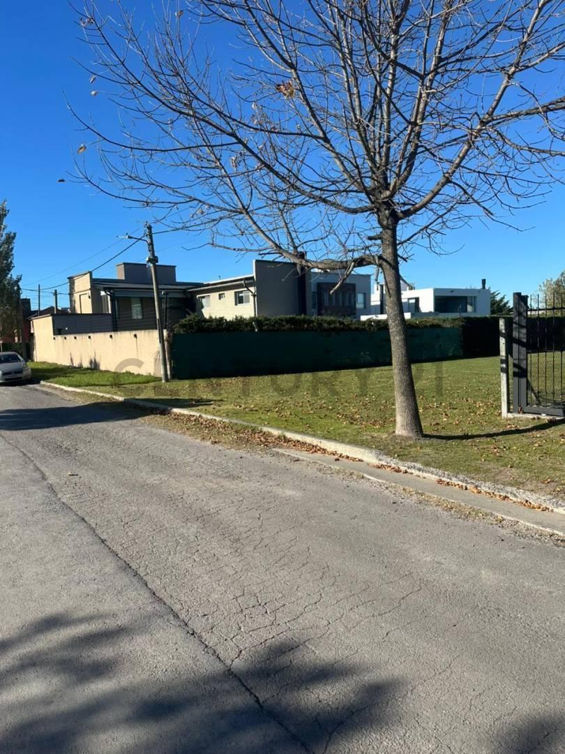 Foto de Lote de 761 m² en Gorina, imagen 2