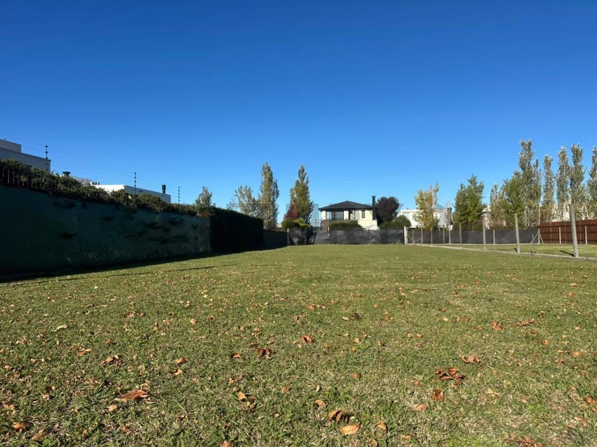 Foto de Lote de 761 m² en Gorina, imagen 3